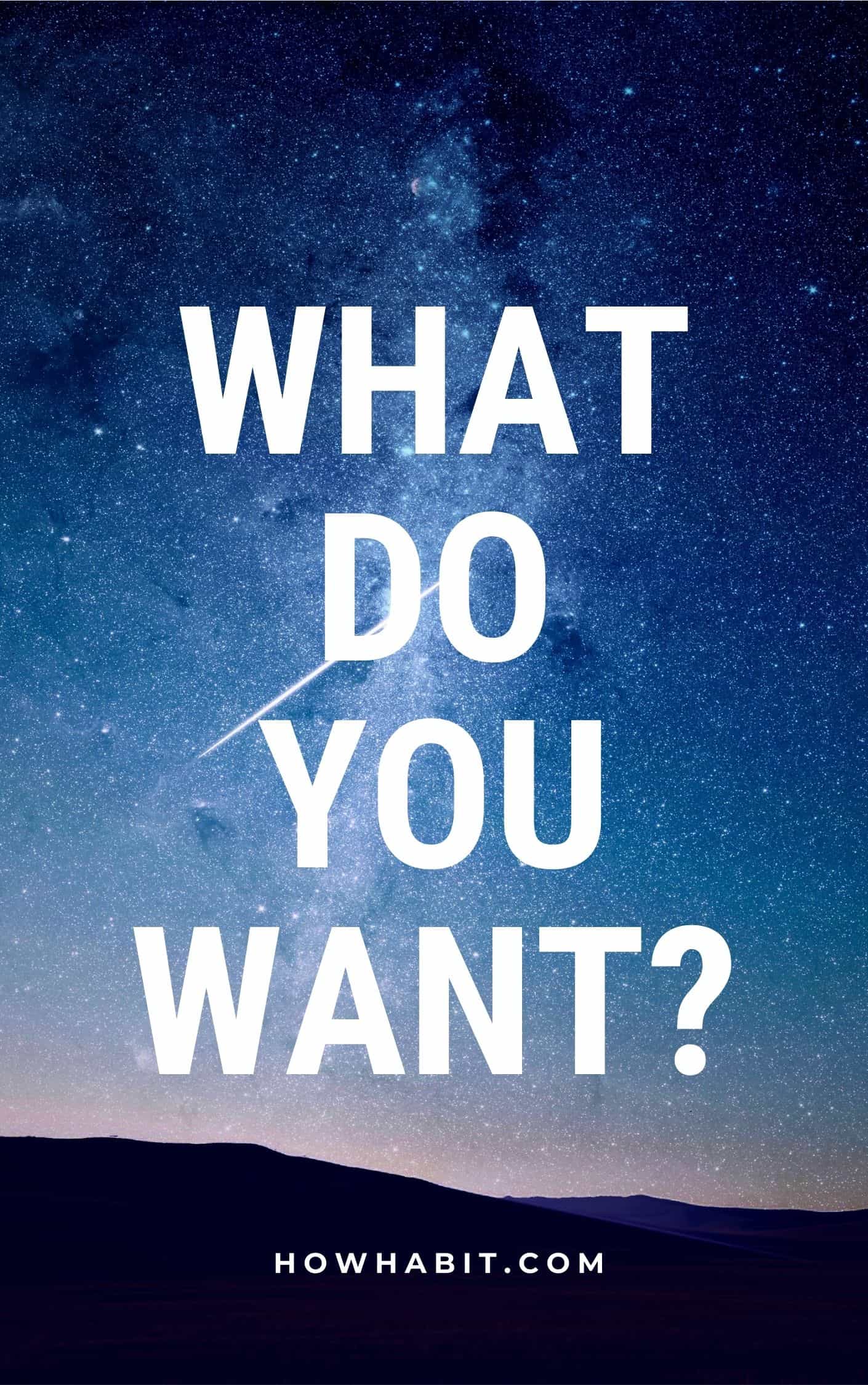 what-do-you-want-cover What do you want guide